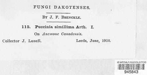 Puccinia simillima image